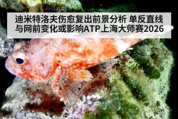 迪米特洛夫伤愈复出前景分析 单反直线与网前变化或影响ATP上海大师赛2026