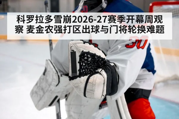 hockey goalie in net