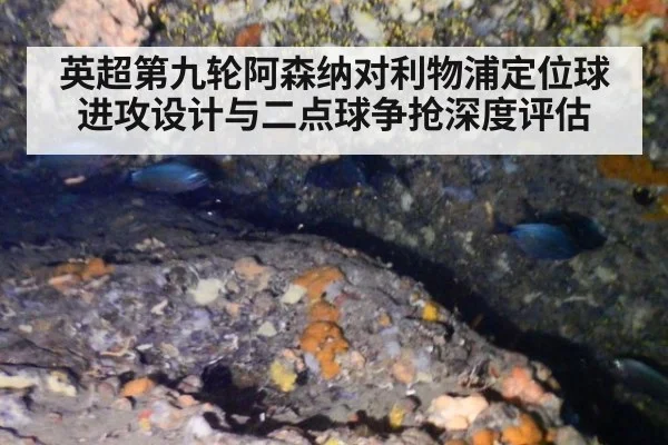 英超第九轮阿森纳对利物浦定位球进攻设计与二点球争抢深度评估